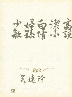 少妇白洁高义张敏孙倩小说