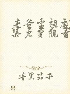 老爸电视剧40集免费观看全集