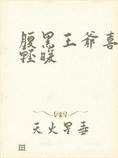 腹黑王爷喜当爹轻暖