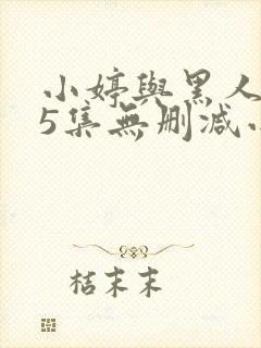 小婷与黑人1~5集无删减小说