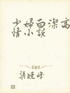 少妇白洁高义激情小说