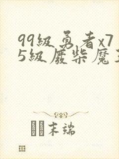 99级勇者x75级废柴魔王漫画封面