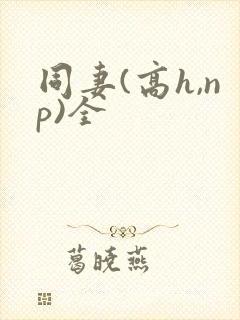 同妻(高h,np)全