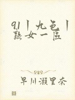 91丨九色丨老熟女一区