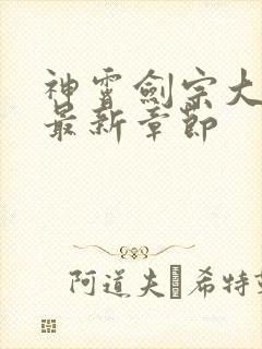 神霄剑宗大师兄最新章节