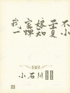 我家娘子不对劲一蝉知夏小说全集