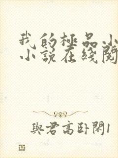 我的极品小姨 小说在线阅读封面