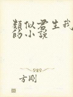 类似君生我已老的小说封面