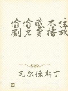 偷偷藏不住电视剧免费播放在线