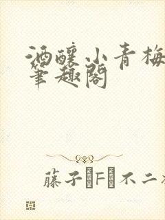酒酿小青梅po笔趣阁封面