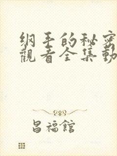 纲手的秘密免费观看全集动漫版