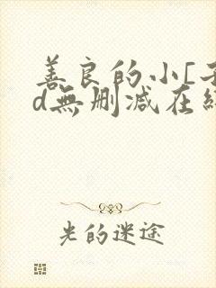 善良的小[子hd无删减在线播放韩国封面