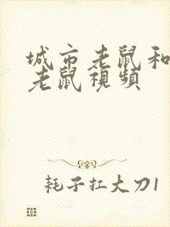 城市老鼠和乡下老鼠视频