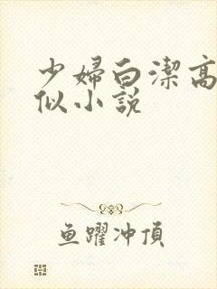 少妇白洁高义类似小说