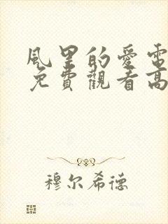 风里的爱电视剧免费观看高清