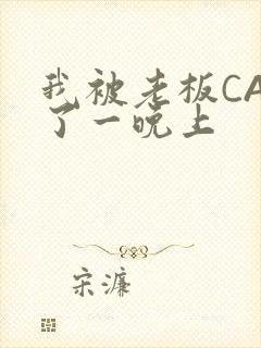 我被老板CAO了一晚上