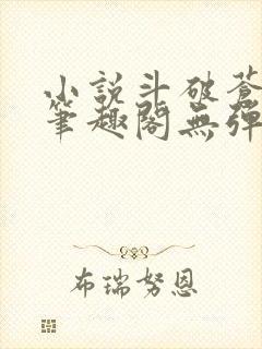 小说斗破苍穹新笔趣阁无弹窗