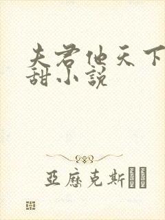 夫君他天下第一甜小说