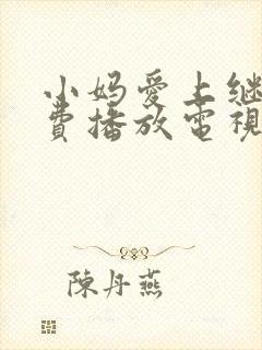 小妈爱上继子免费播放电视剧