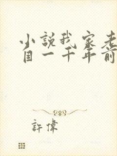 小说我家老婆来自一千年前全文免费阅读