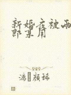 新婚夜被两个伴郎享用封面