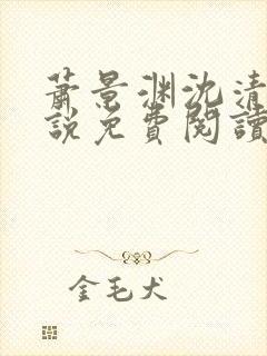 萧景渊沈清禾小说免费阅读最新章节封面