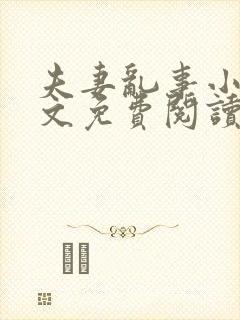 夫妻乱事小说全文免费阅读最新章节