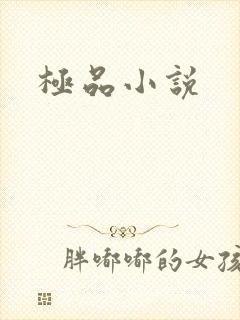 极品小说