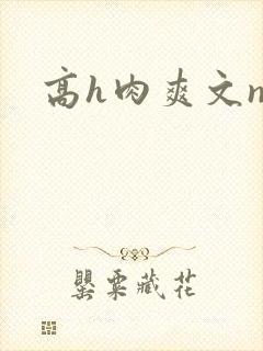 高h肉爽文np封面