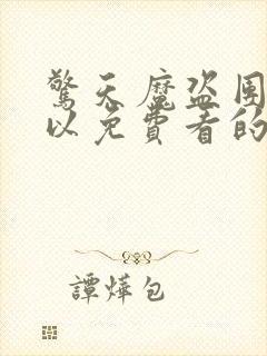 惊天魔盗团2可以免费看的软件