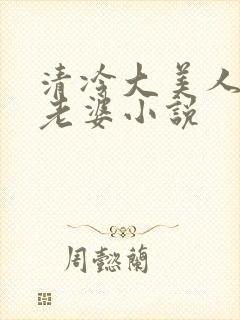 清冷大美人是我老婆小说