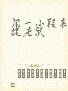 用一小段来写猫捉老鼠封面