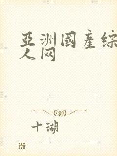 亚洲国产综合成人网