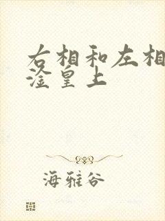 右相和左相一起淦皇上