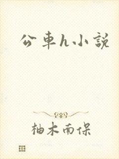 公车h小说