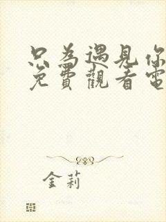 只为遇见你全集免费观看电视剧