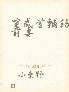 穿成首辅的炮灰前妻