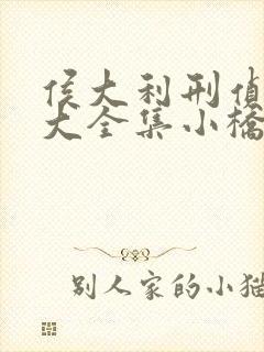 侯大利刑侦笔记大全集小桥老树全文阅读封面