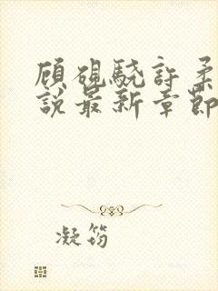 顾砚骁许柔汐小说最新章节更新时间