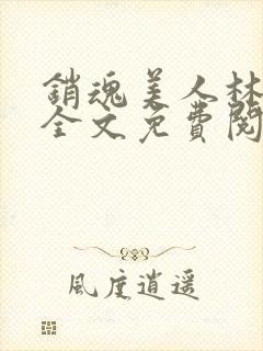 销魂美人林婷婉全文免费阅读小说