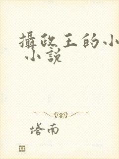 摄政王的小闲妻 小说