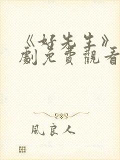 《好先生》电视剧免费观看高清