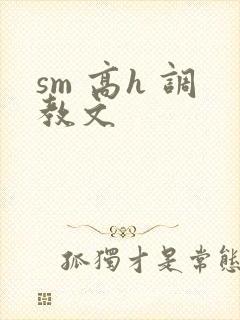 sm 高h 调教文