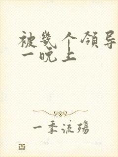 被几个领导玩弄一晚上