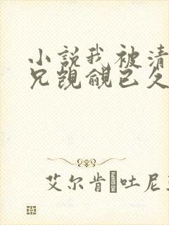 小说我被清冷师兄觊觎已久小说