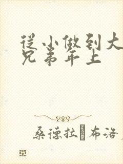 从小做到大骨科兄弟年上封面