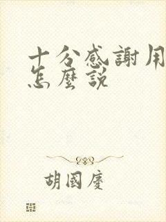 十分感谢用日语怎么说