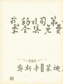 我的xl司第一季全集免费观看