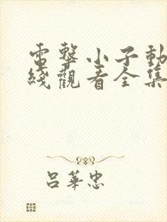 电击小子动漫在线观看全集免费播放封面