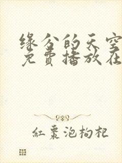 缘分的天空全集免费播放在线观看封面